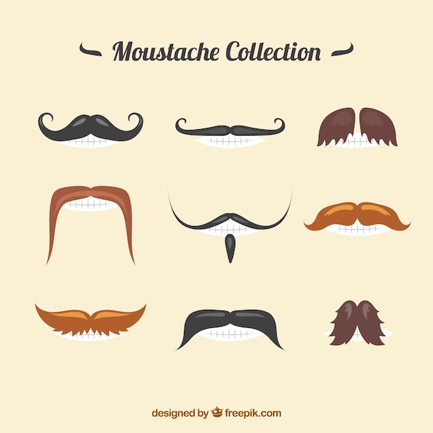 Vecteur gratuit collection spéciale de moustaches