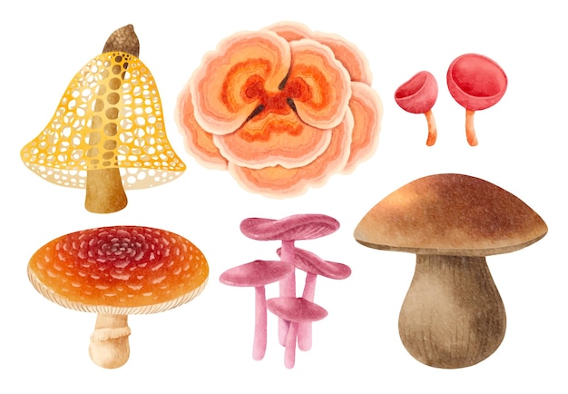 Vecteur gratuit collection de style aquarelle illustration champignon