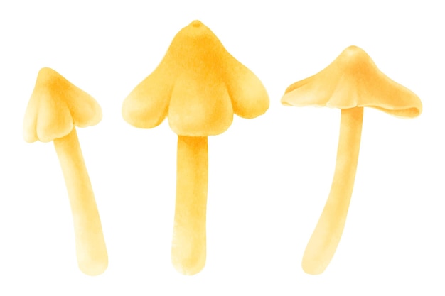 Vecteur gratuit collection de style aquarelle illustration champignon