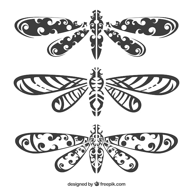 Vecteur gratuit collection de tatouage dragonfly
