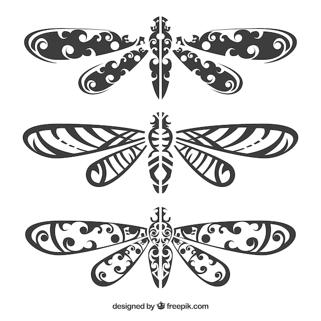 Collection De Tatouage Dragonfly