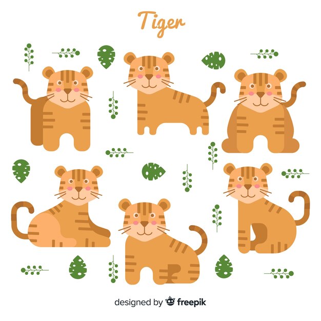 Collection de tigre