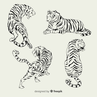 Images Tigre Blanc Vecteurs Photos Et Psd Gratuits Images Tigre Blanc Vecteurs Photos Et Psd Gratuits