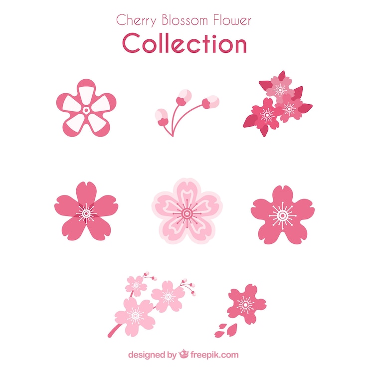 Vecteur gratuit collection de variété de fleurs de cerisier