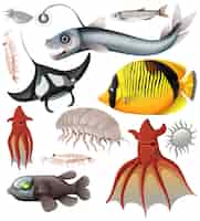 Vecteur gratuit collection de vecteurs d'animaux marins