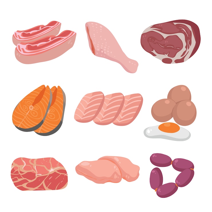 Vecteur gratuit collection de viande de couleur