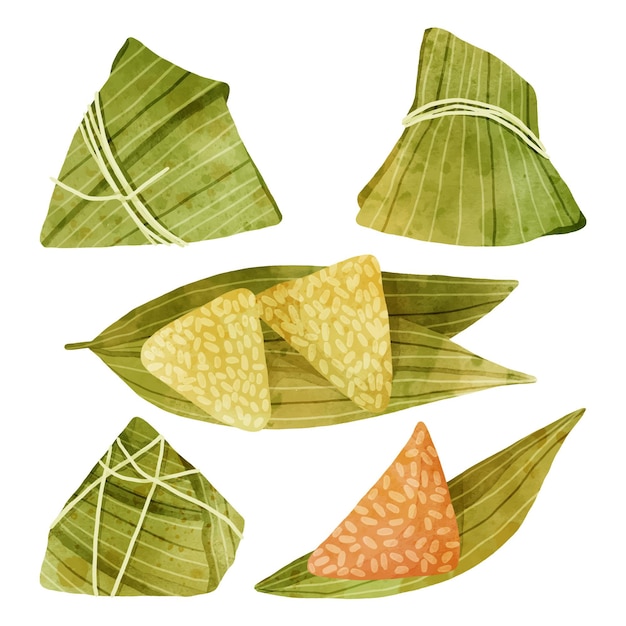 Collection Zongzi Du Bateau Dragon Aquarelle Peinte à La Main