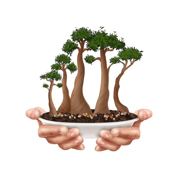 Vecteur gratuit composition de bonsaï avec des mains réalistes tenant illustration vectorielle de pot de fleur