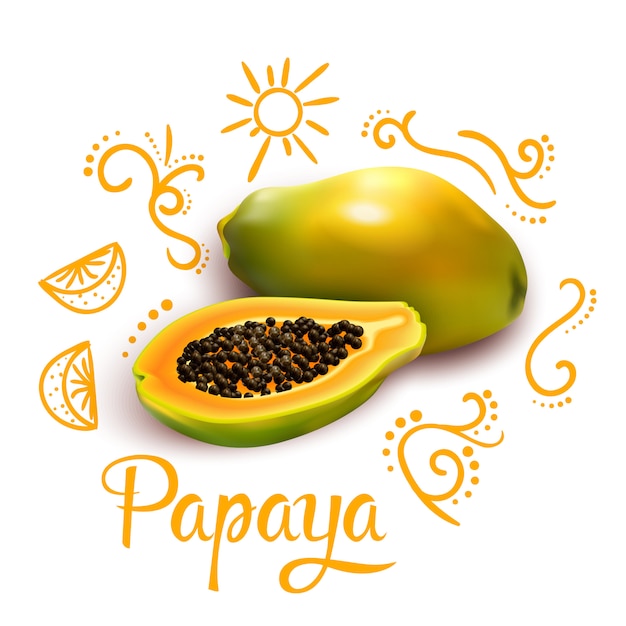 Vecteur gratuit composition de doodles around papaya