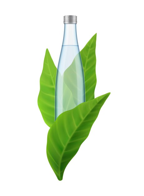 Composition d'eau minérale réaliste avec image de bouteille en verre entourée d'illustration vectorielle de feuilles vertes fraîches