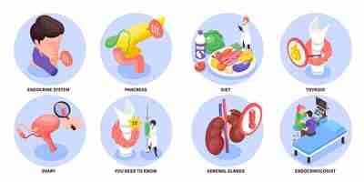 Vecteur gratuit composition endocrinologue isométrique et colorée définie système endocrinien régime pancréatique thyroïde ovaire descriptions illustration vectorielle