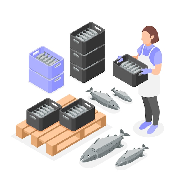 Vecteur gratuit composition isométrique de la mariculture avec une travailleuse chargeant des boîtes avec une illustration vectorielle de poisson frais
