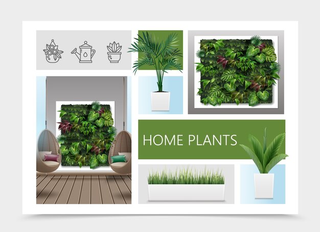 Vecteur gratuit composition de plantes à la maison réaliste