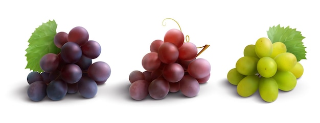 Composition réaliste de raisins avec des raisins roses et blancs rouges isolés