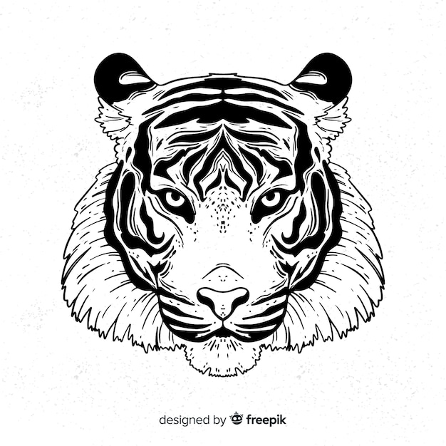 Composition de tigre classique dessiné à la main