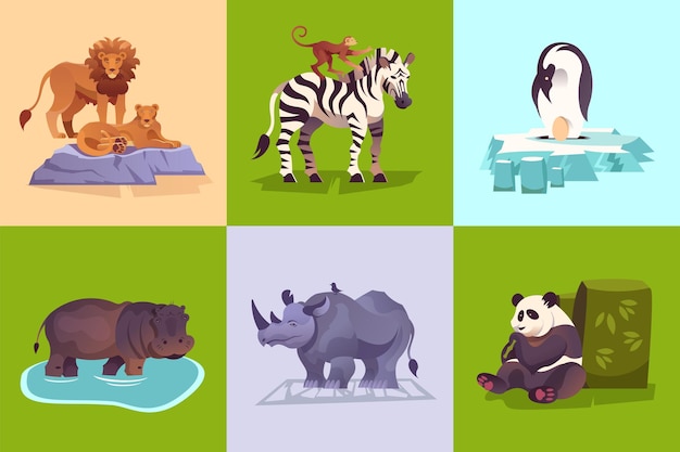 Concept d'animaux sauvages de zoo avec pingouin lion zèbre rhinocéros panda hippopotame singe fond coloré ensemble illustration vectorielle