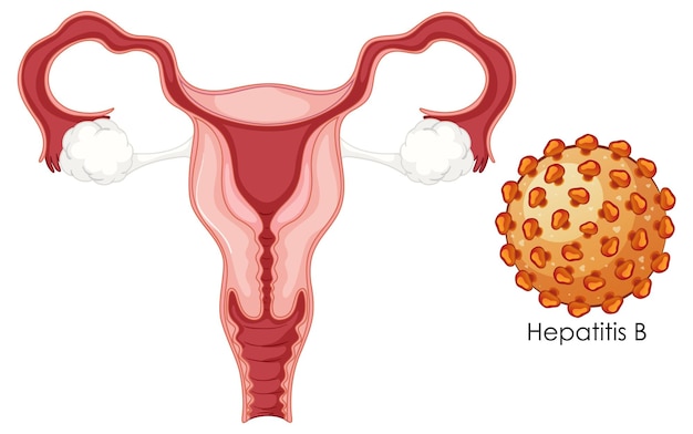 Vecteur gratuit concept de bactéries d'infection vaginale