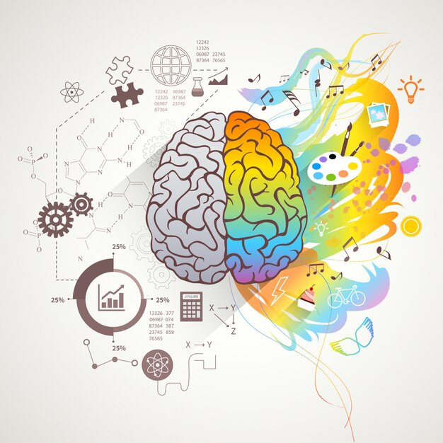Concept de cerveau droit gauche