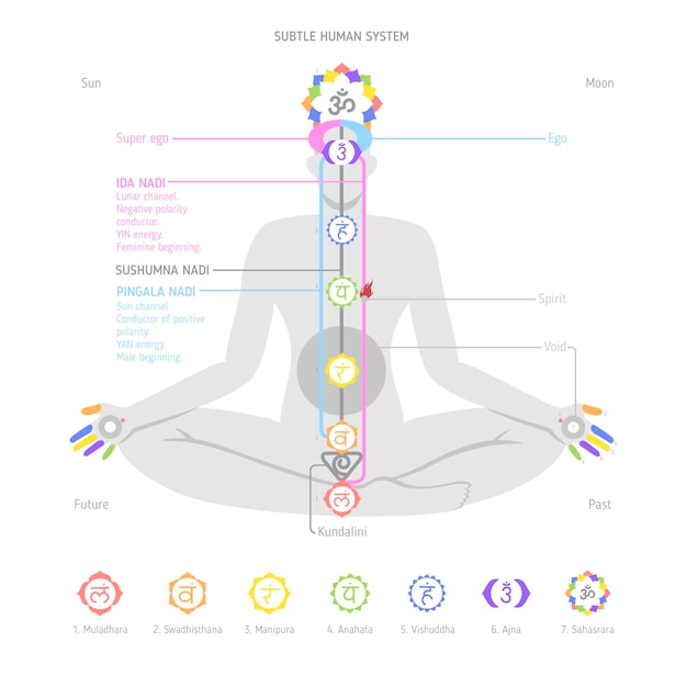 Vecteur gratuit concept de chakras corporels