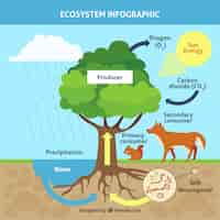 Vecteur gratuit concept d'écosystème infographie avec arbre