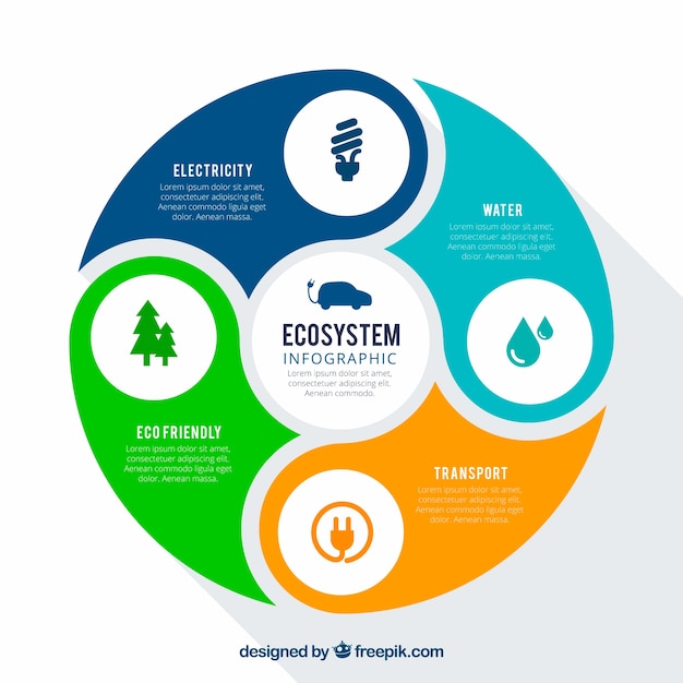 Concept D'écosystème Infographique Rond