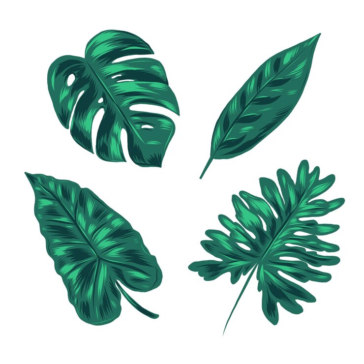 Vecteur gratuit concept de feuilles tropicales monochromes