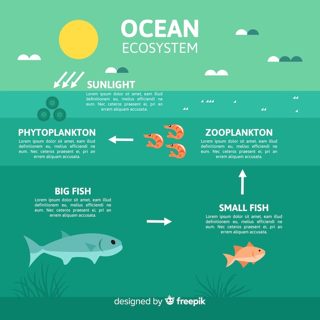 Vecteur gratuit concept d'infographie de l'écosystème