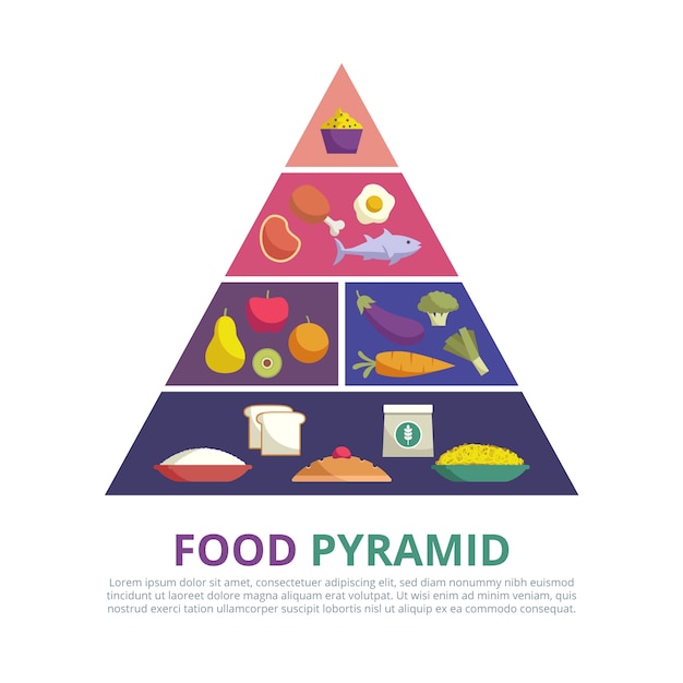 Concept De Nutrition Design Pyramide Alimentaire