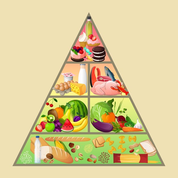 Concept de pyramide alimentaire