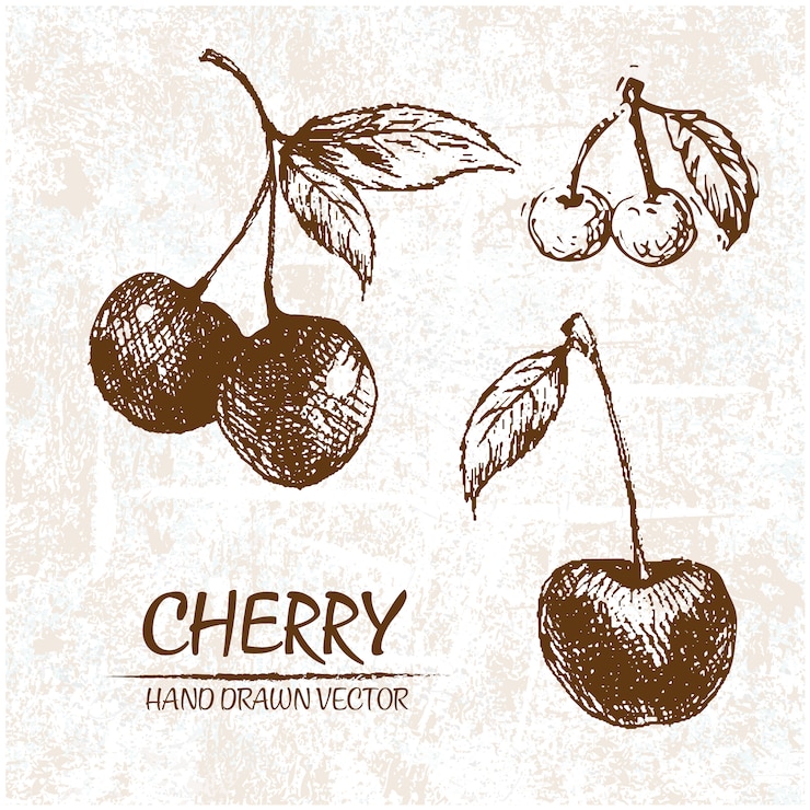 Vecteur gratuit conception de cerises dessinées à la main