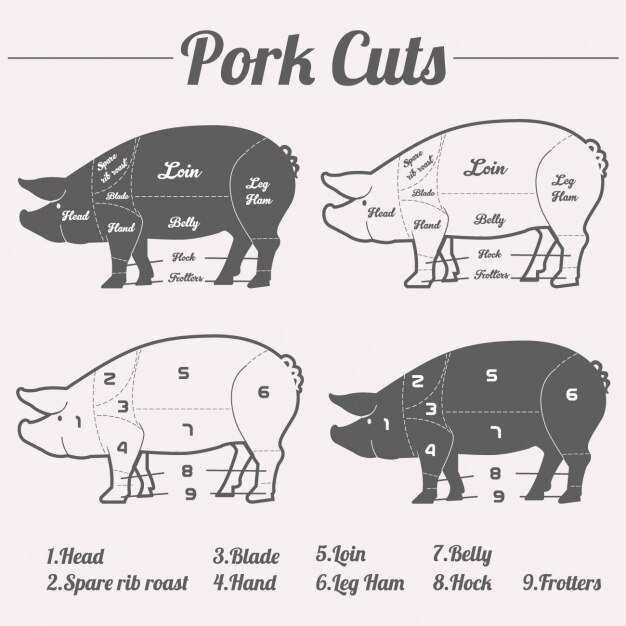 conception de coupes de porc