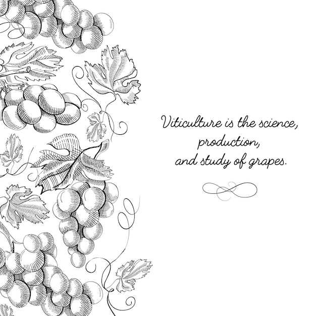 Conception décorative originale carte postale originale doodle dessinés à la main avec des lettres sur la viticulture est la science