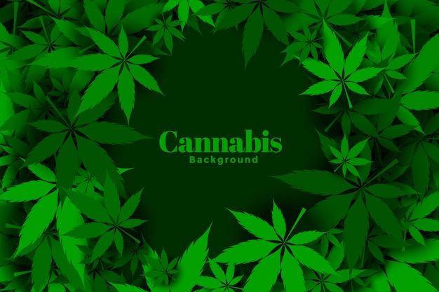 Vecteur gratuit conception de fond de feuilles de marijuana ou de cannabis vert