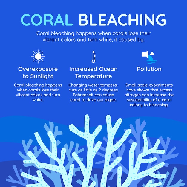 Vecteur gratuit conception d'une infographie sur le blanchiment des coraux
