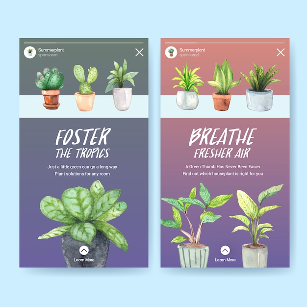 Conception De Modèle D'histoire Instagram Avec Des Plantes D'été Et Des Plantes D'intérieur Pour Les Médias Sociaux