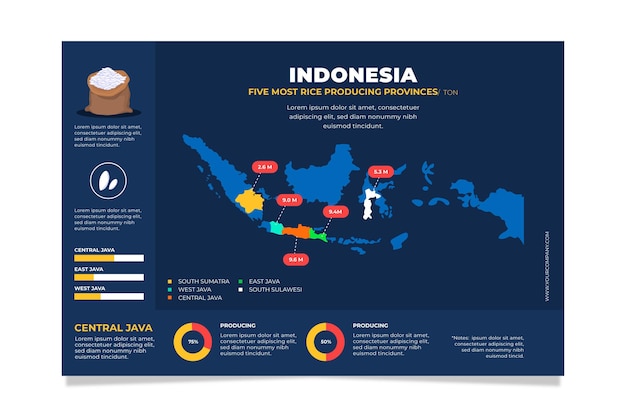 Conception Plate D'infographie Carte Indonésie