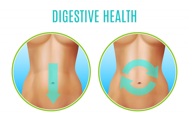 Vecteur gratuit conception réaliste de la santé digestive