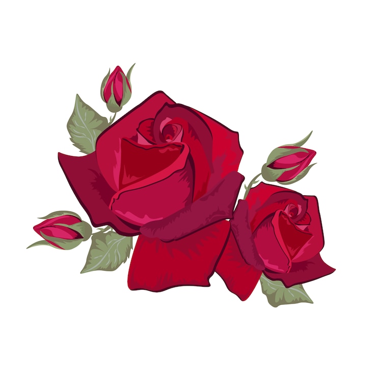 Vecteur gratuit conception de roses rouges