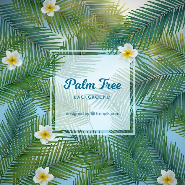 Vecteur gratuit contexte avec des feuilles et des fleurs de palmier réalistes