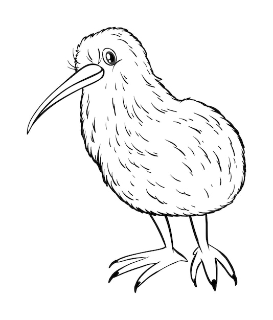 Vecteur gratuit contour animal pour oiseau kiwi