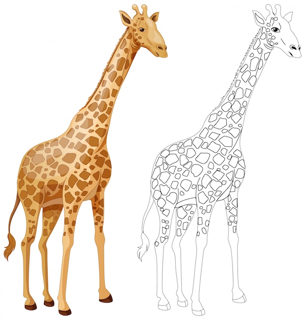 Vecteur gratuit contour d'animaux pour girafe