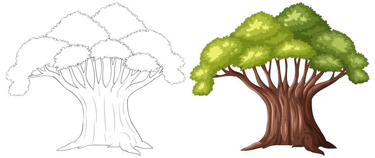 Vecteur gratuit contour et couleur de l'illustration de l'arbre double