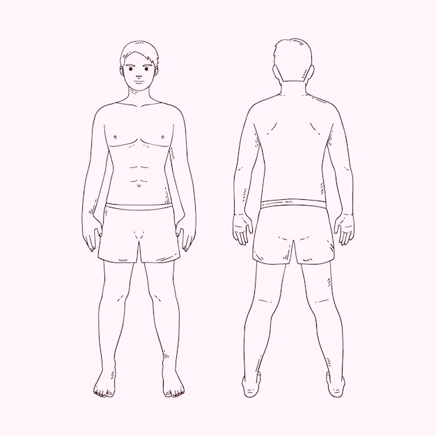 Contour Du Corps Humain Dessiné à La Main