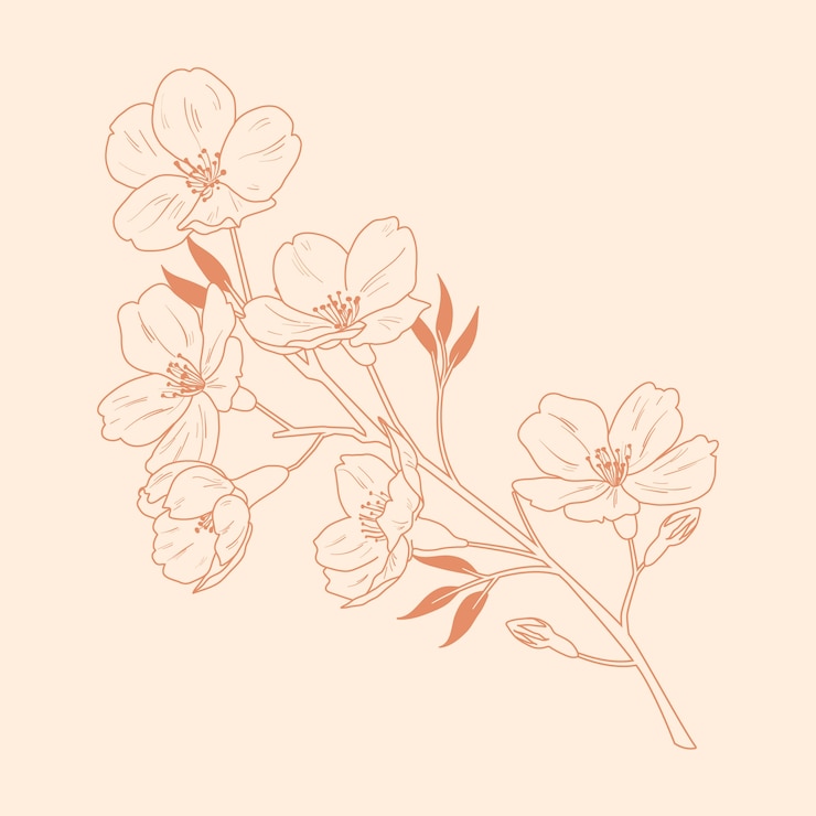 Vecteur gratuit contour de fleur simple design plat dessiné à la main