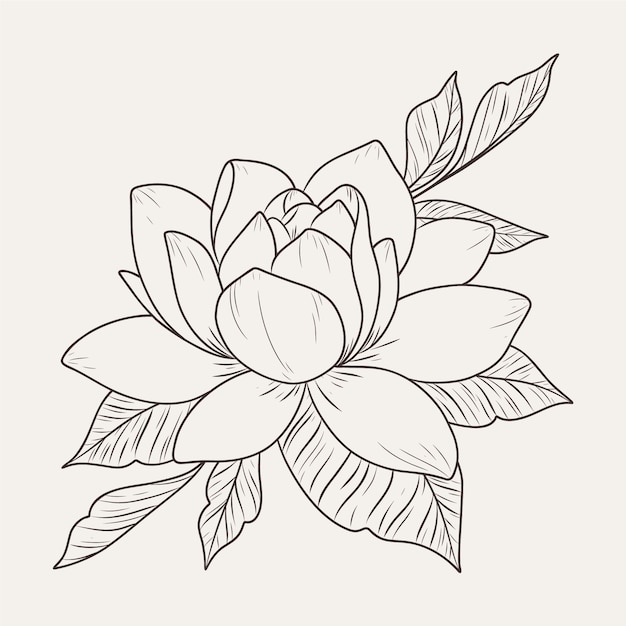 Vecteur gratuit contour de fleur simple design plat dessiné à la main