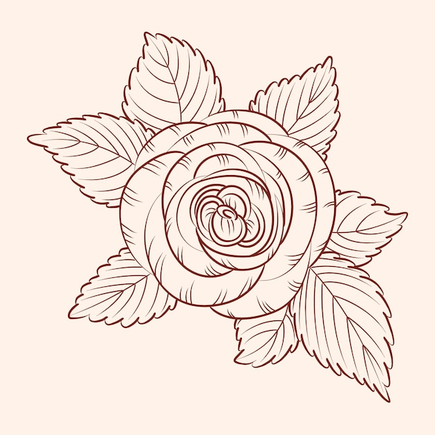 Vecteur gratuit contour de fleur simple dessiné à la main