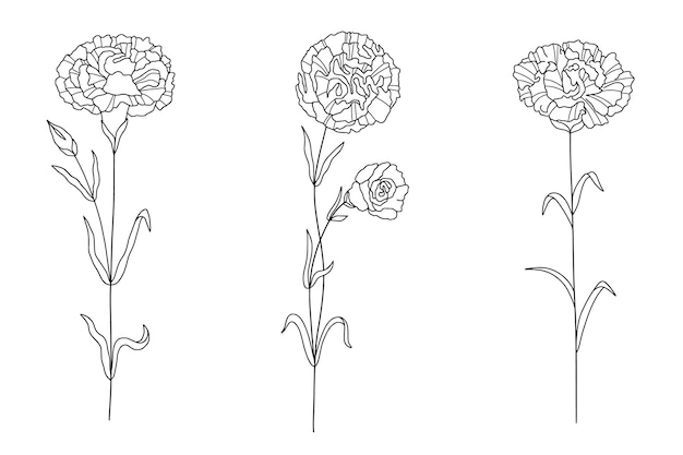 Vecteur gratuit contour de fleur simple dessiné à la main