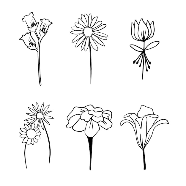 Vecteur gratuit contour de fleur simple dessiné à la main