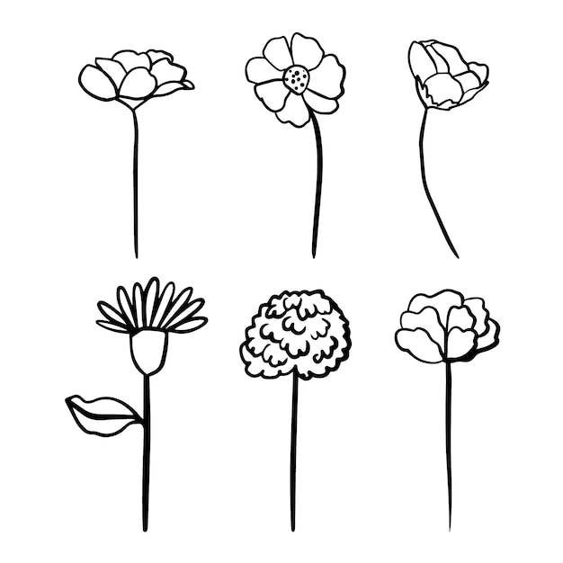 Vecteur gratuit contour de fleur simple dessiné à la main