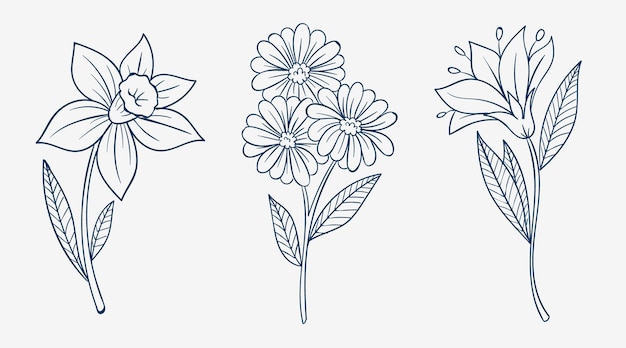 Contour de fleur simple dessiné à la main